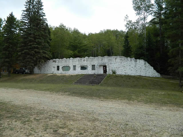 Underground Forest - Summer 2013 From Ron Gross (newer photo)